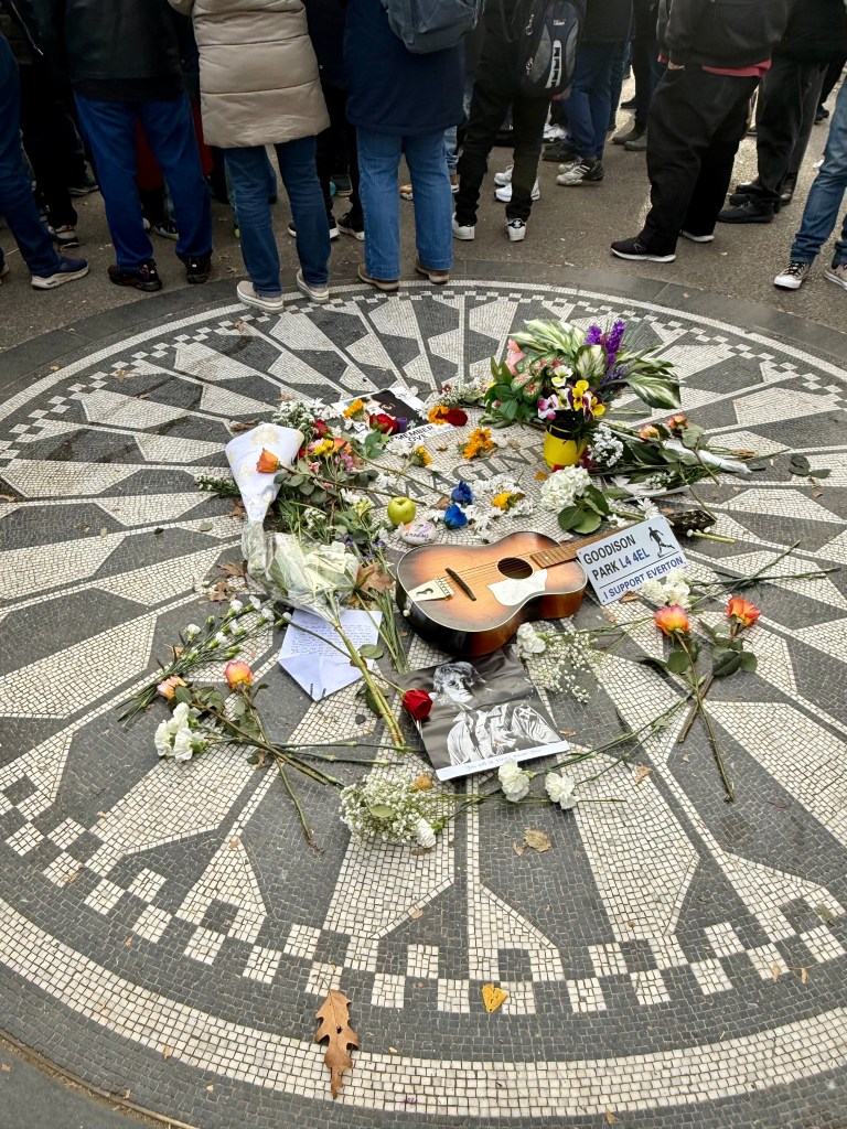 Strawberry Fields 3