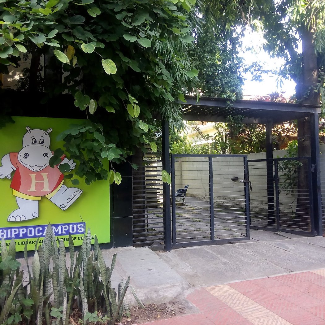 Hippocampus Childrens Company 3