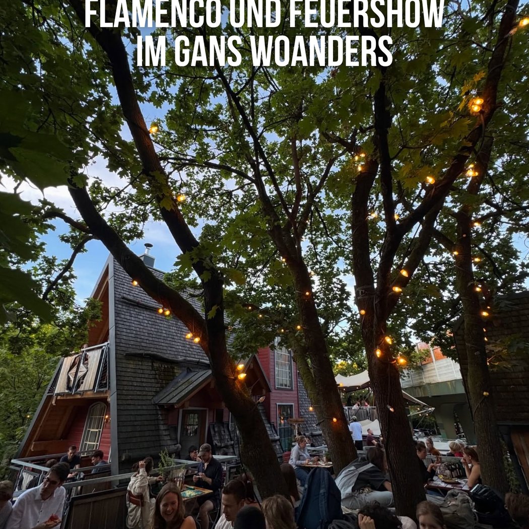 Flamenco und Feuershow 1