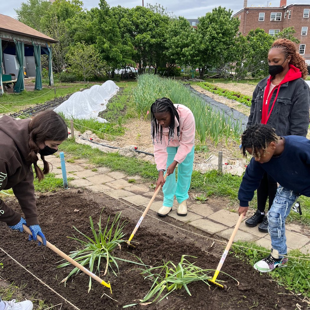 LEAF Youth Garden Class 2