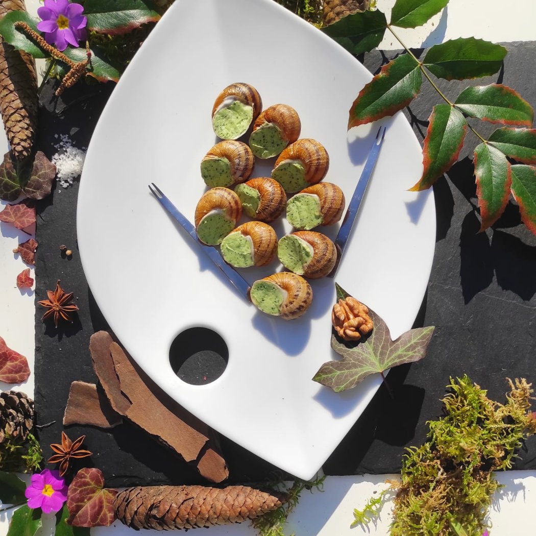 Félix & Hélix - Élevage d'escargots BIO en Essonne 1