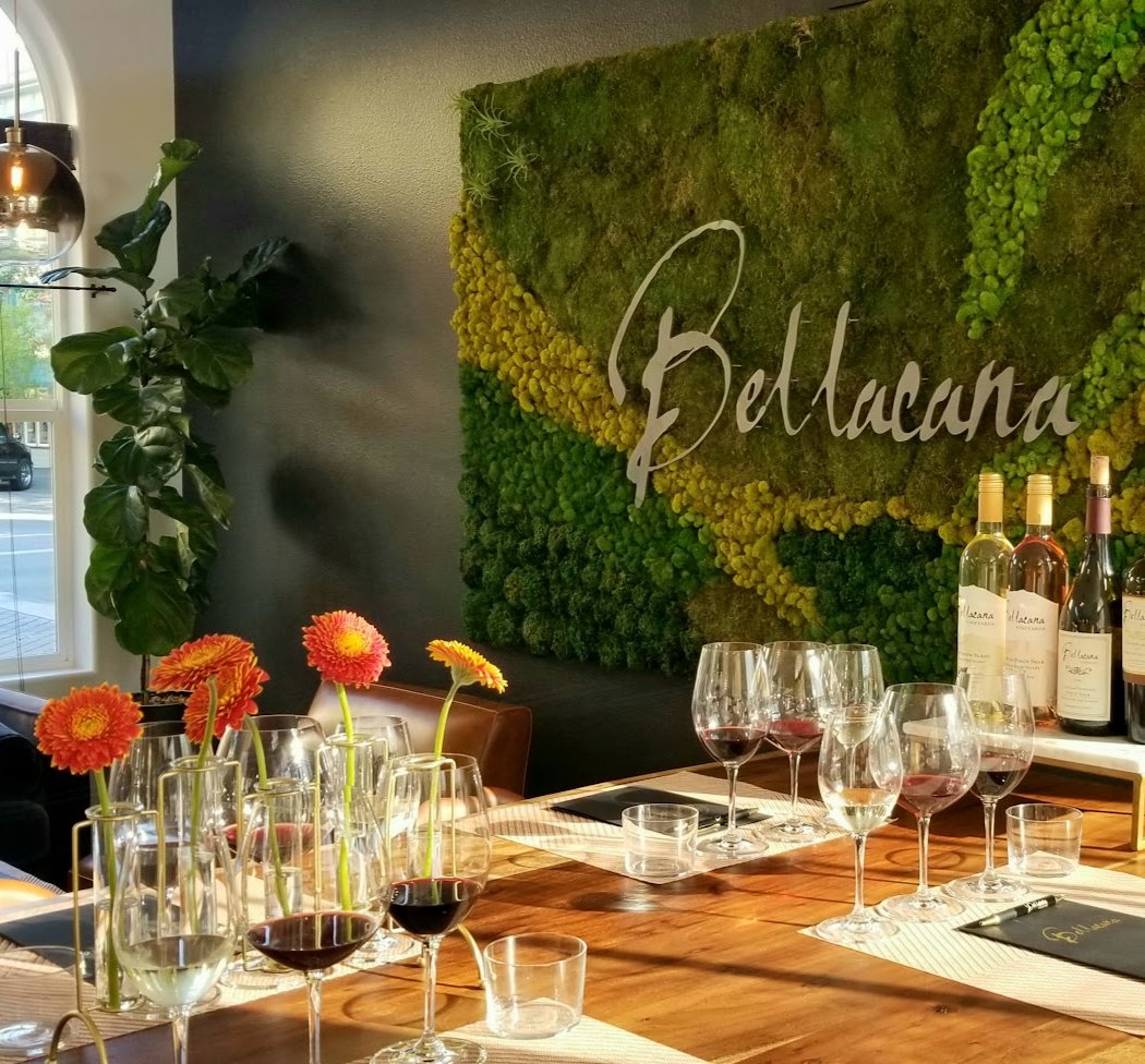 Bellacana Vineyards 1