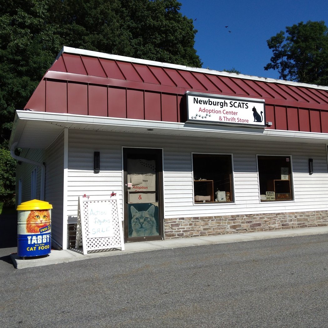 Newburgh Scats Inc 2