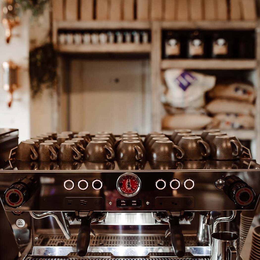 Arbuste Café Caen 2