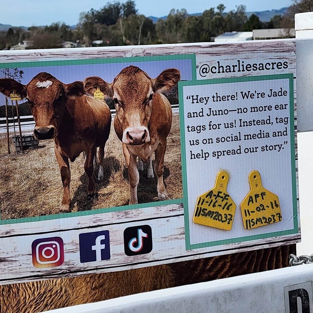 Charlie's Acres Farm Animal Sanctuary Community Tour 3