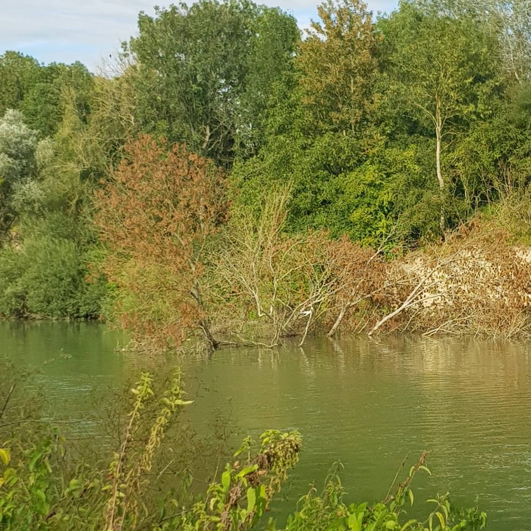 Forêt Régionale des Vallières 3