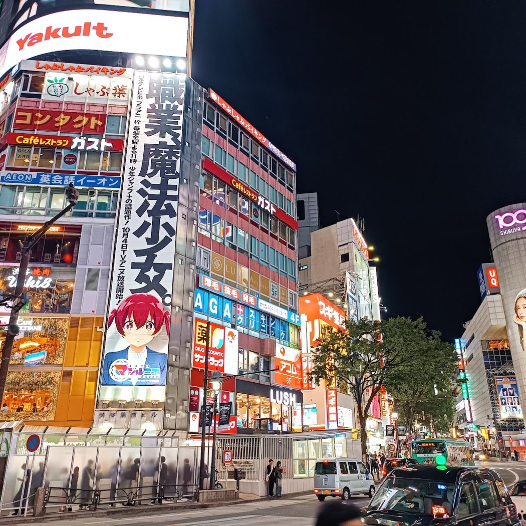Shibuya Crossing 3