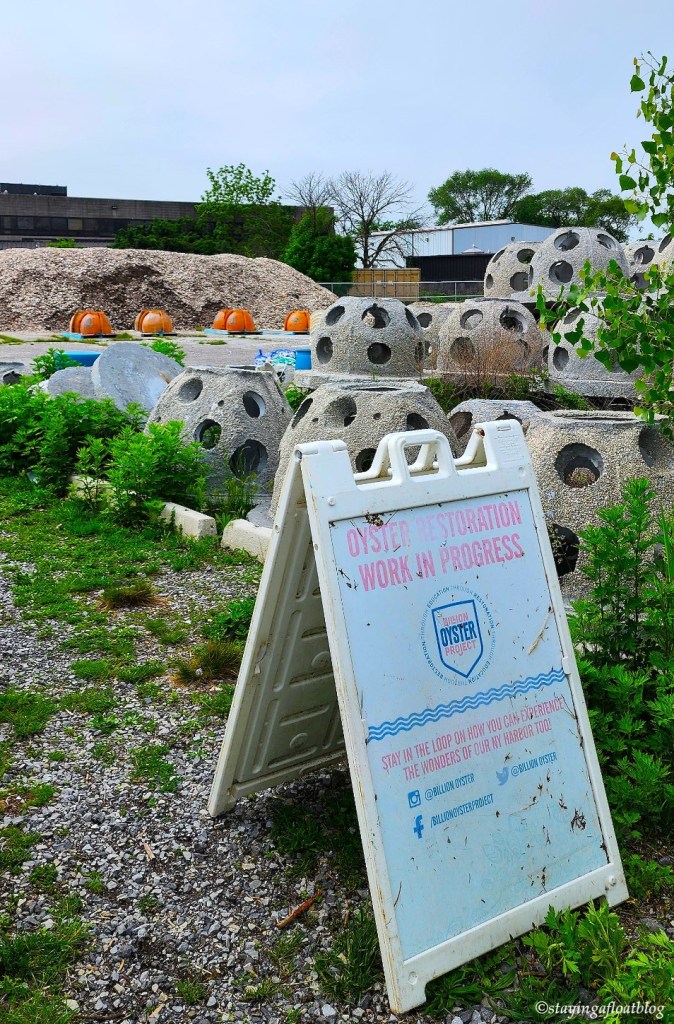 Billion Oyster Project - Shell Collection Station 3