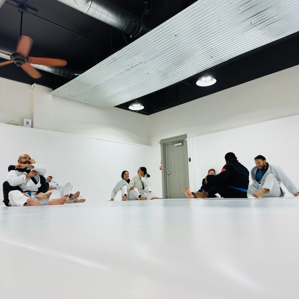 Jiu-Jitsu Adults 60 Min 2