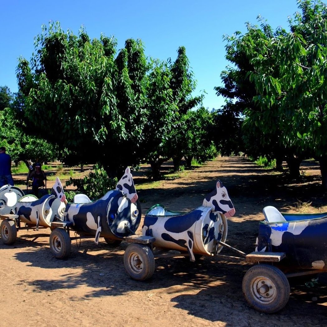 U Pick Orchards (Ranch 1) 3