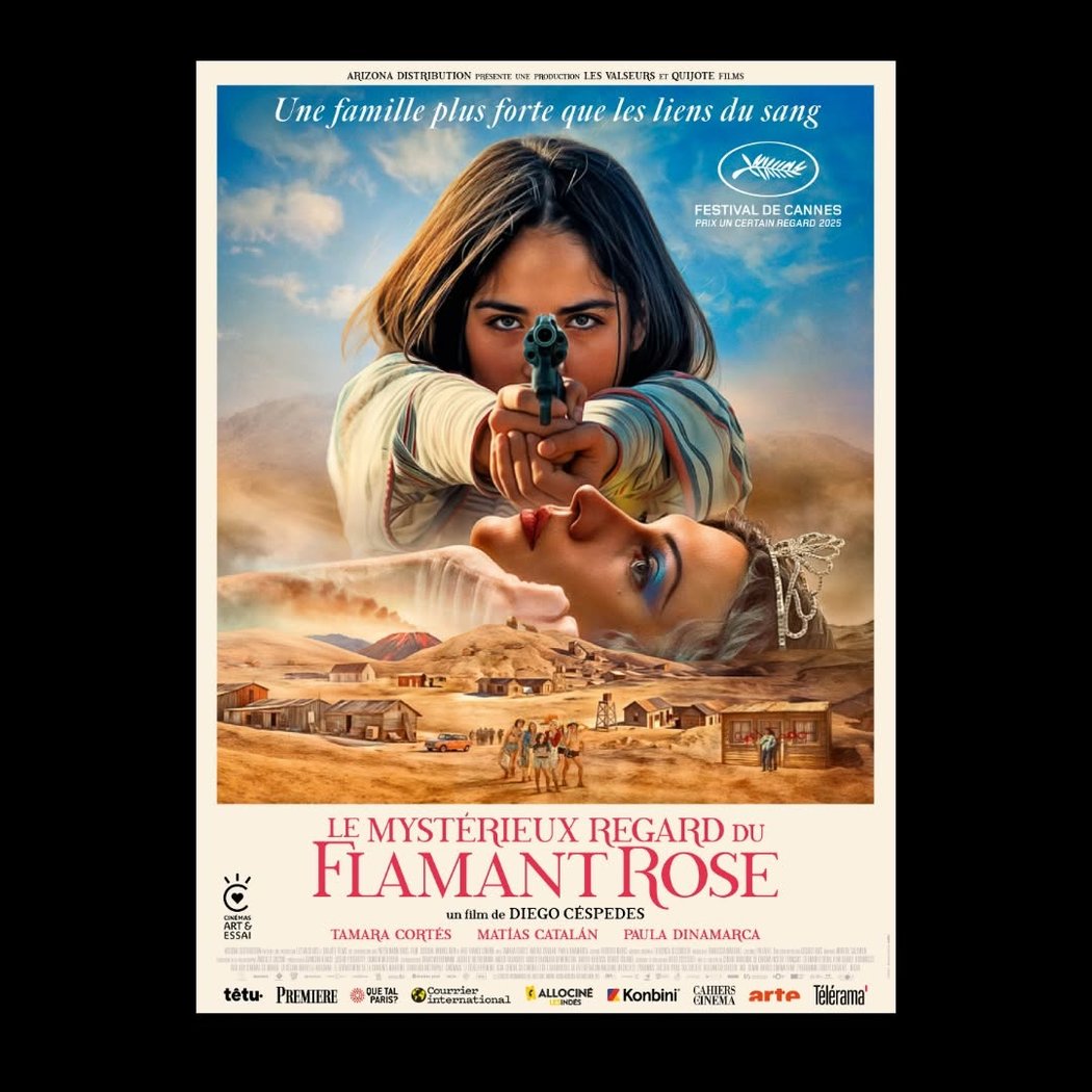 Le Mystérieux Regard du flamant rose 1