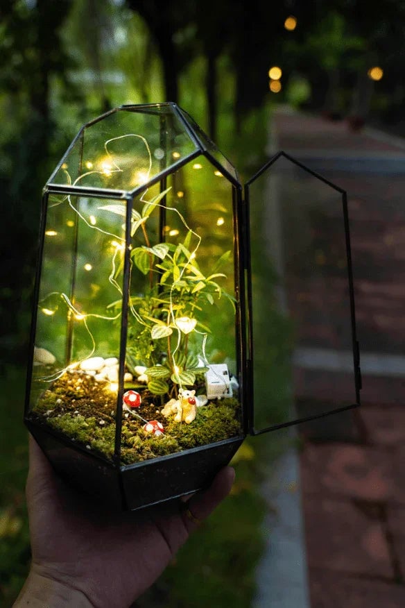 The Signature Terrarium Workshop 3