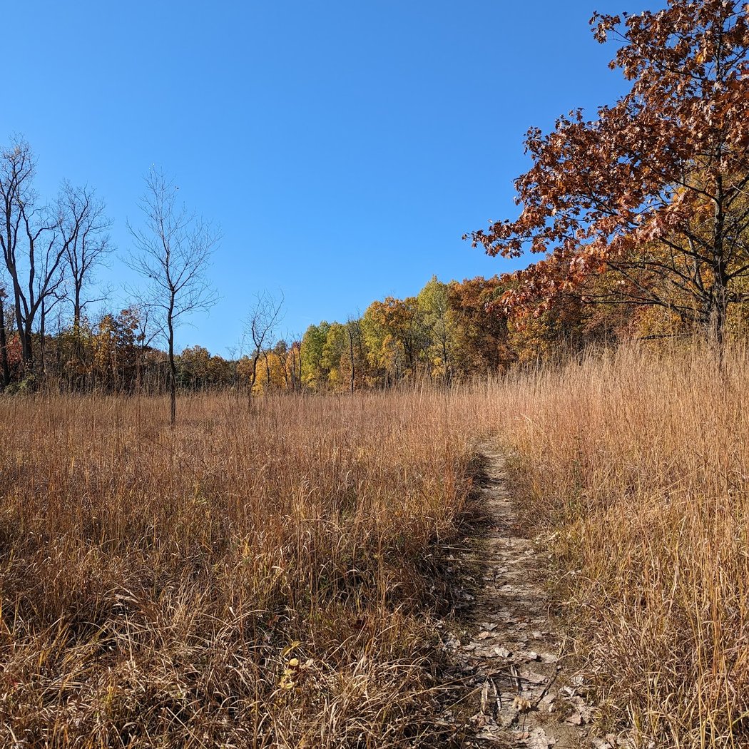 Kuebler Langford Nature Area 1