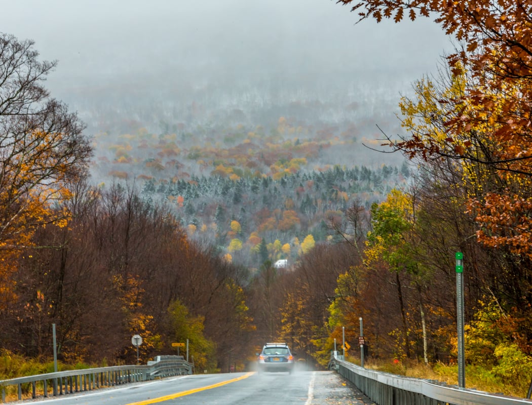 Catskill 2