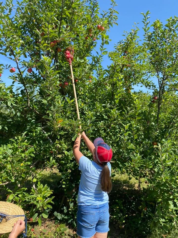 Irons Fruit Farm 1