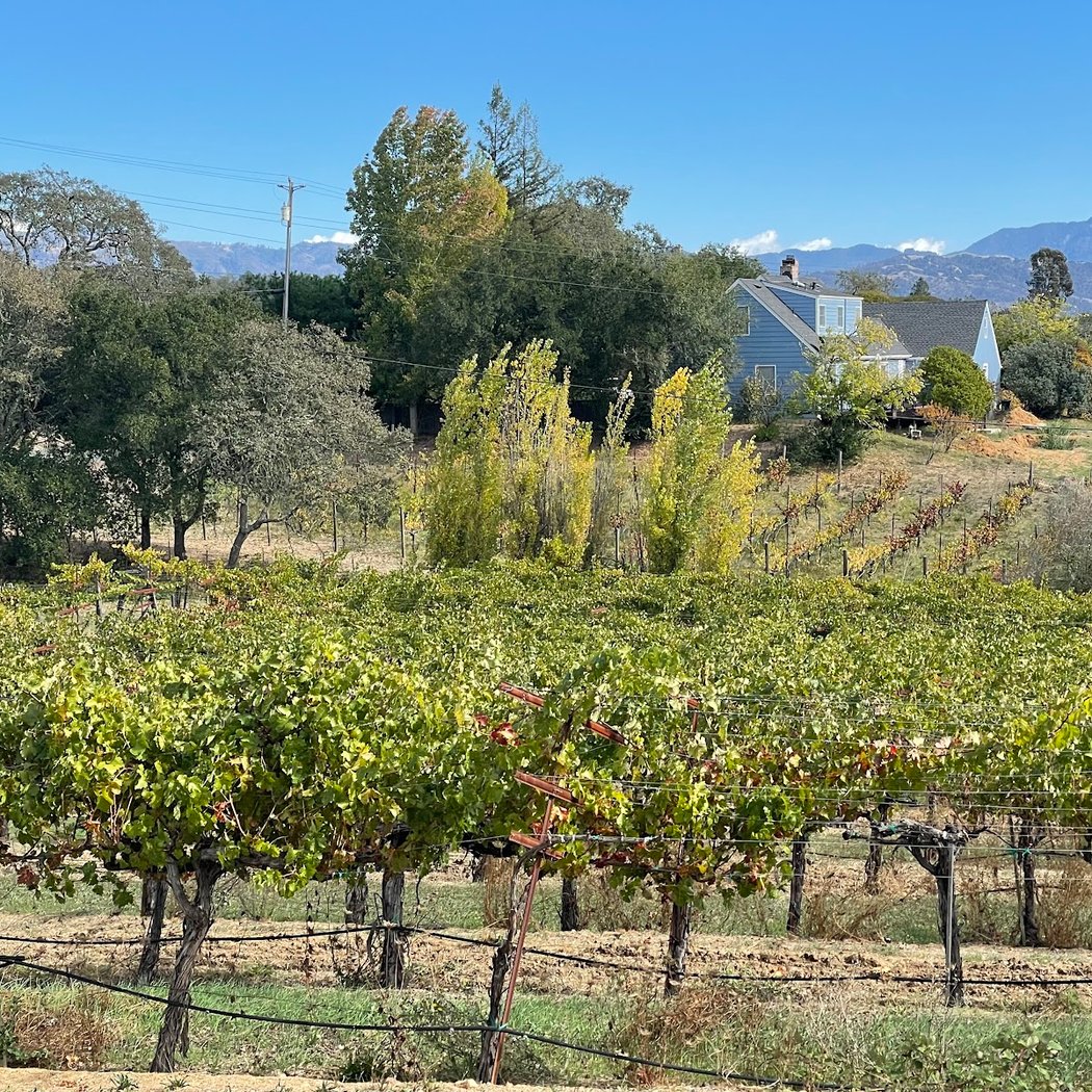 Mazzocco Sonoma Winery 2