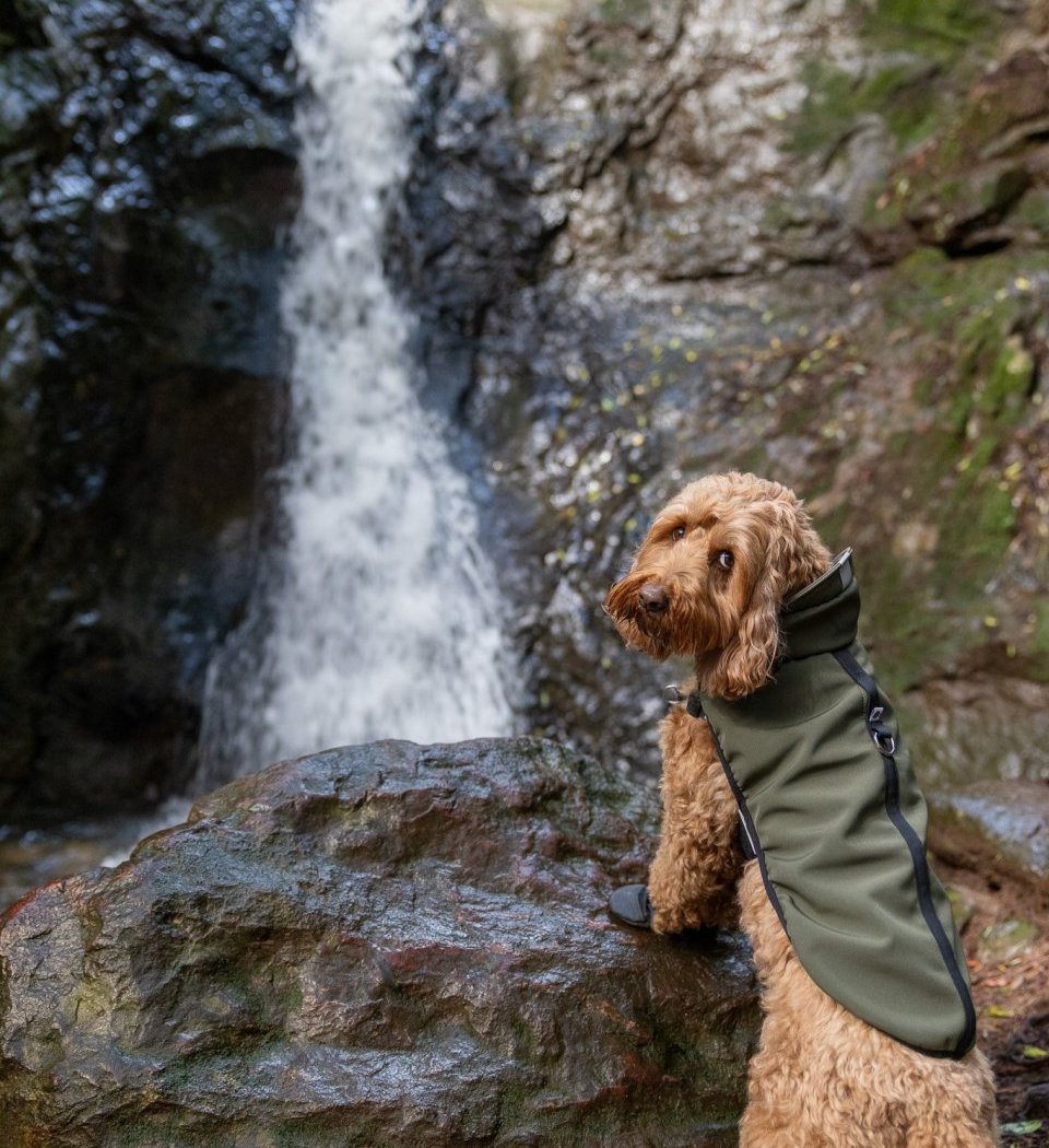 Cascade Falls Trail 3