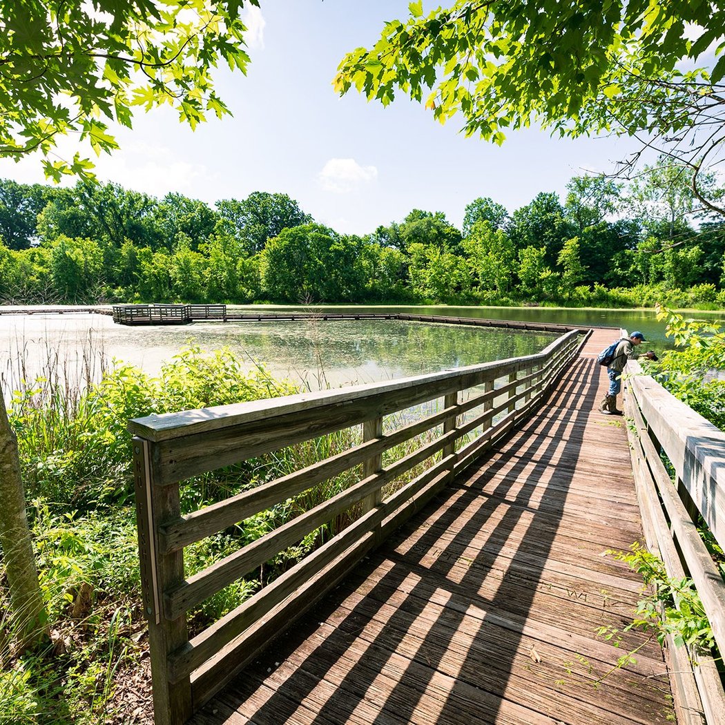 Howell Wetlands 1