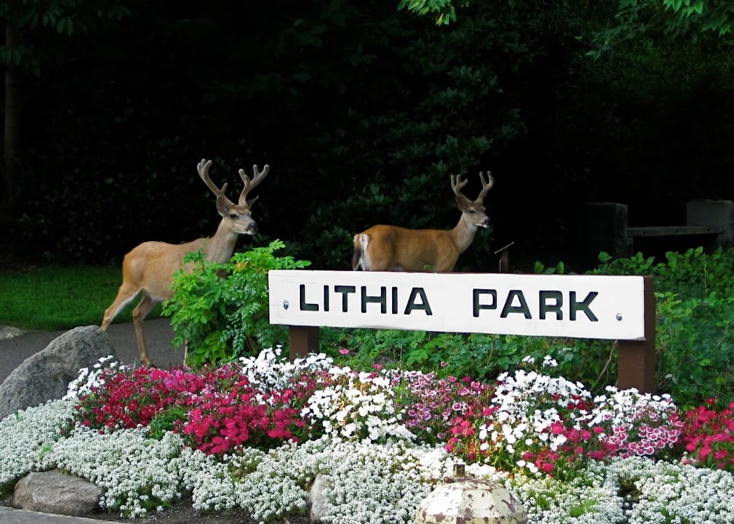 Lithia Park 3