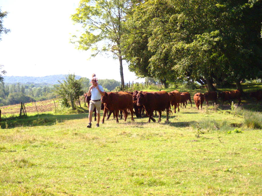 La ferme de Fontenille 3