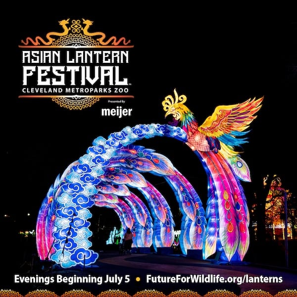 Asian Lantern Festival 1