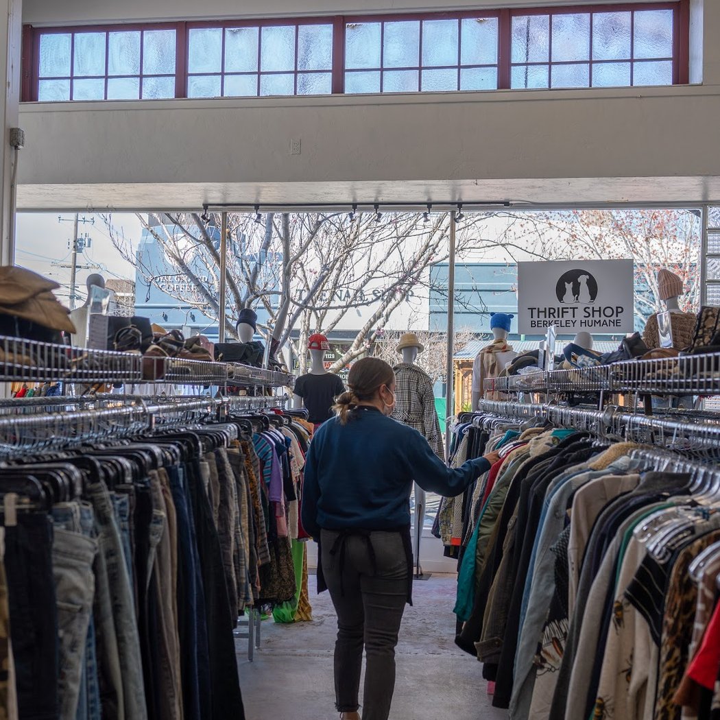 Thrift Shop supporting Berkeley Humane 3