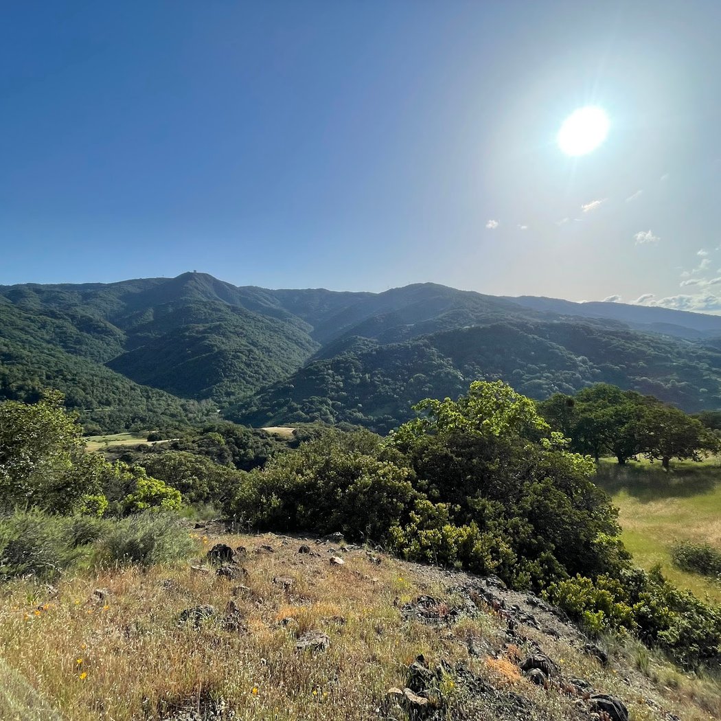 13 Mile Trail Race Top Down 3