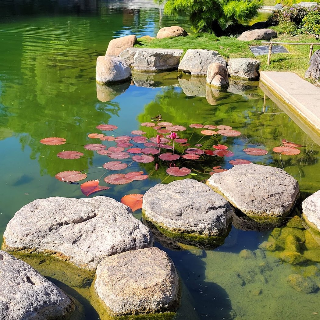 Japanese Friendship Garden of Phoenix 3