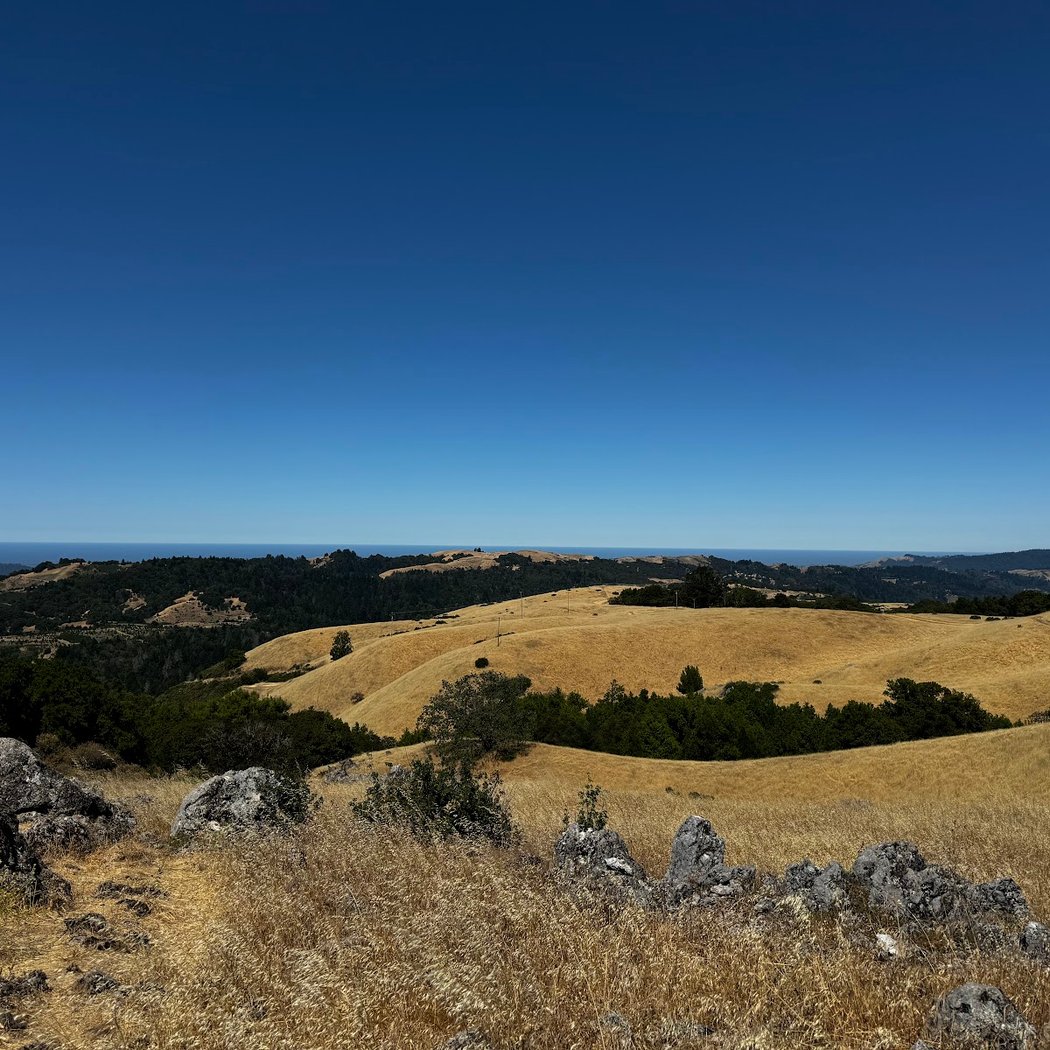 Black Mountain Trail 3