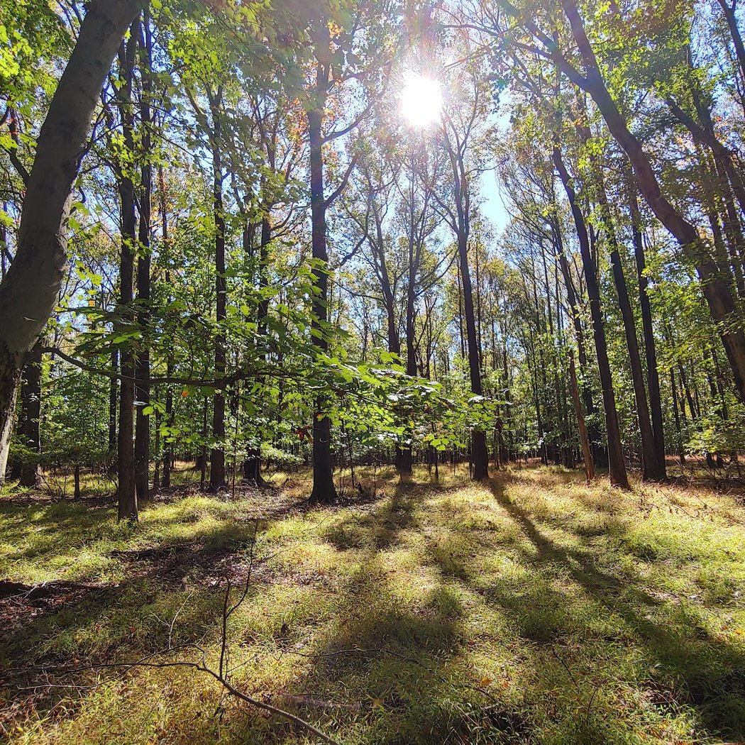 Migratory Bird Hike 2