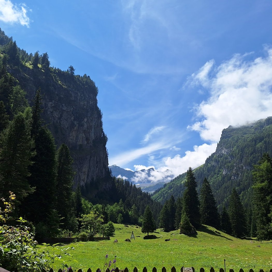 La Thomasia, Jardin de Pont de Nant 2