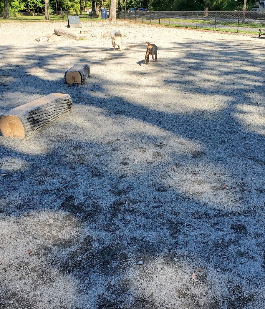 Essex County Branch Brook Park Dog Park 2