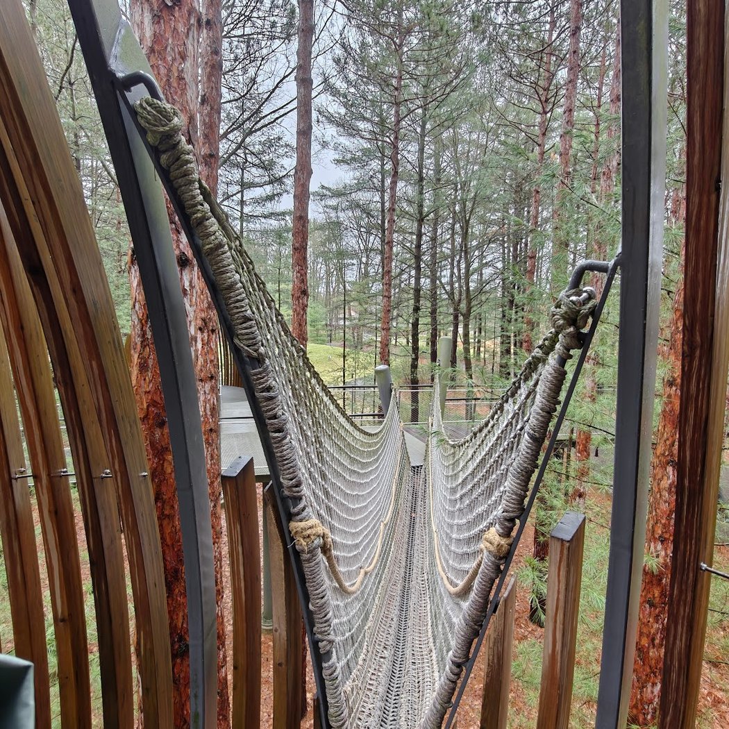 Dow Gardens Canopy Walk 2