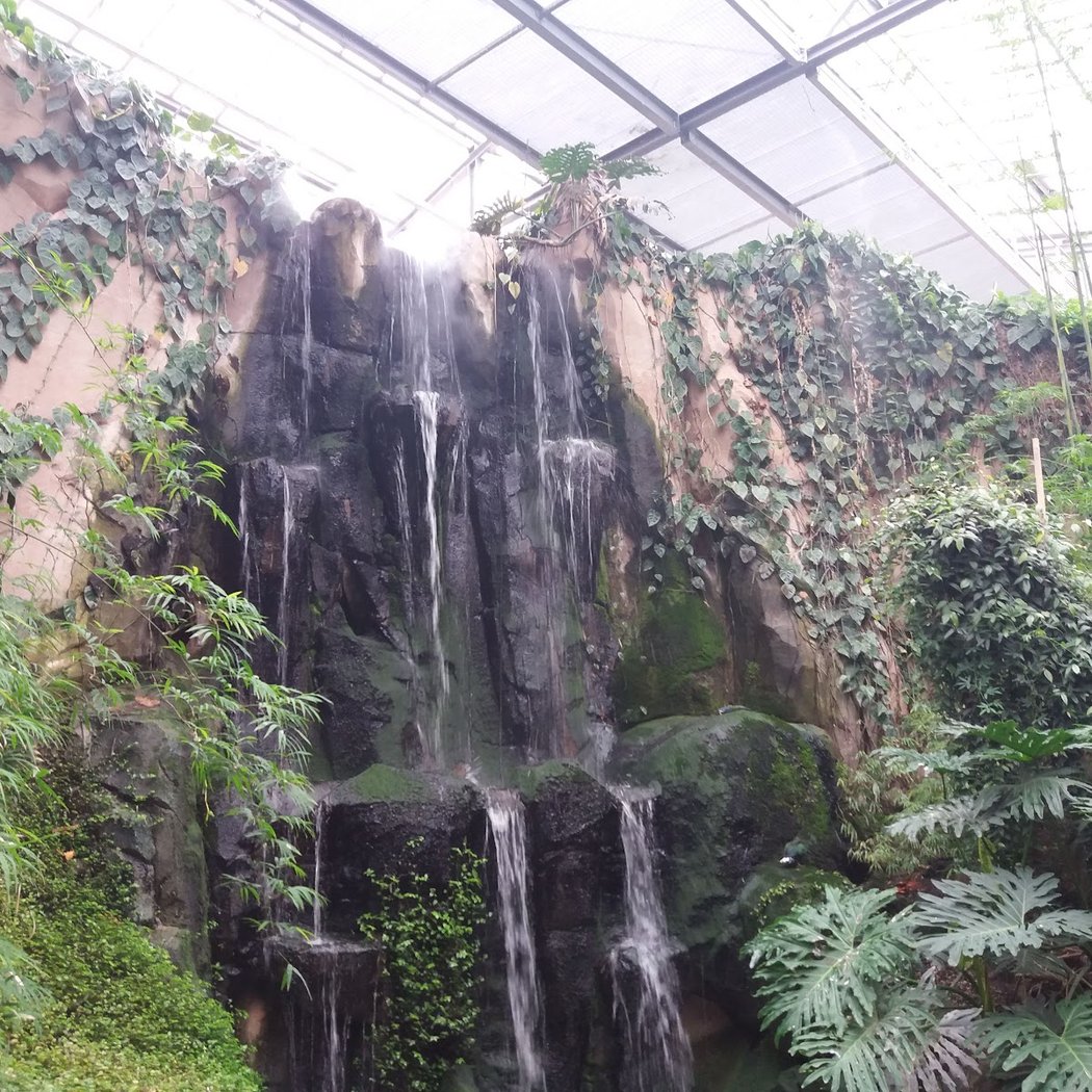 Biotropica, animal gardens 3