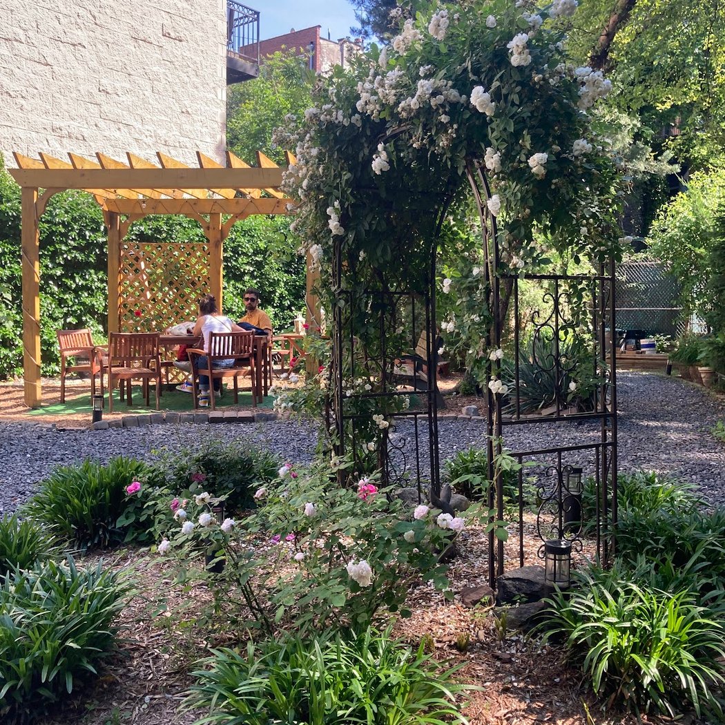Harlem Rose Garden 1
