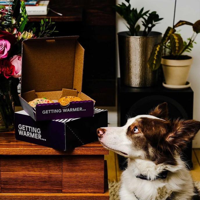 Insomnia Cookies 2