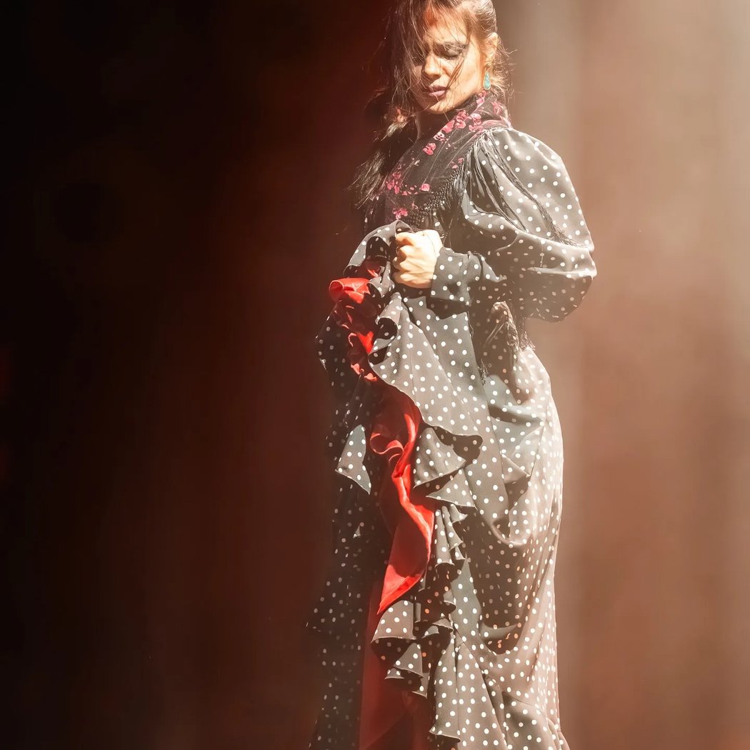 Tablao Flamenco Las Setas 2