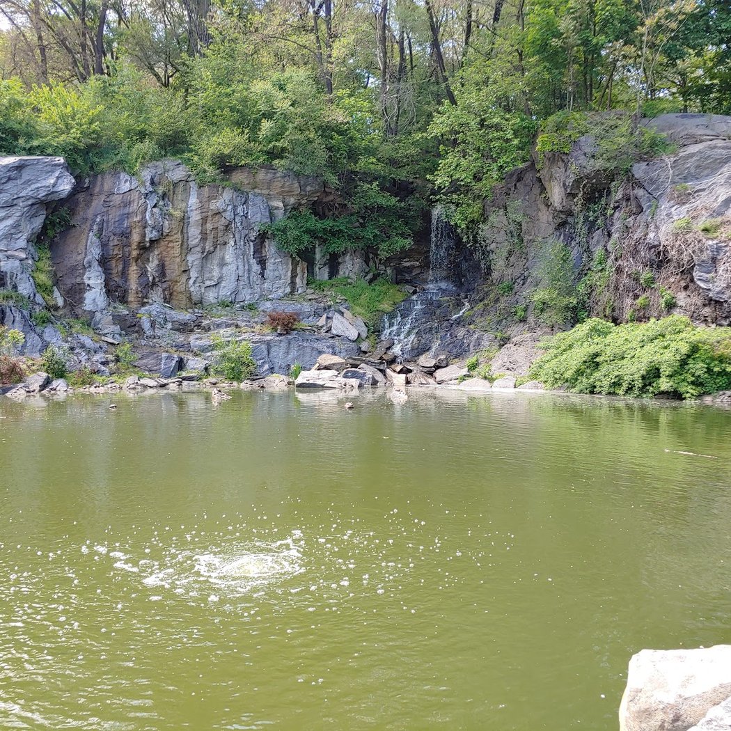Morningside Waterfall 1
