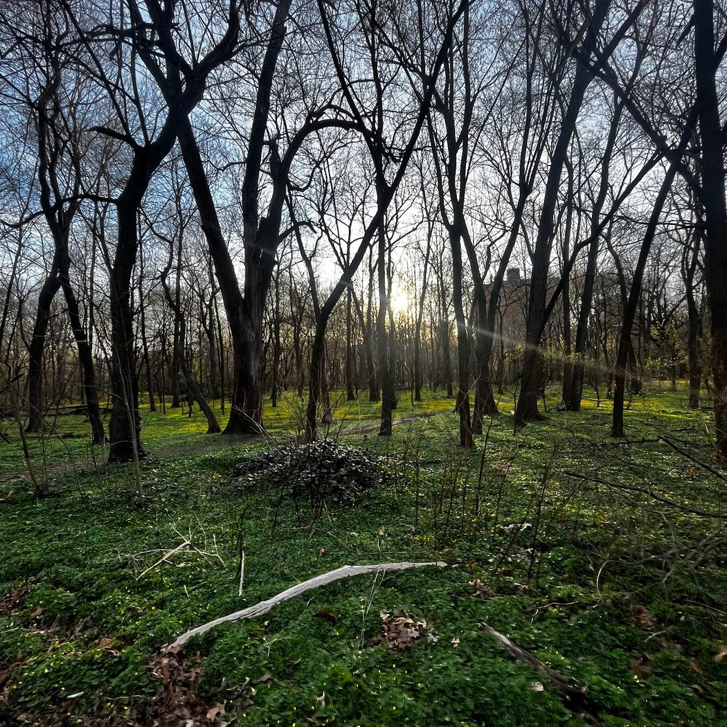 Bronx River Forest Park 1