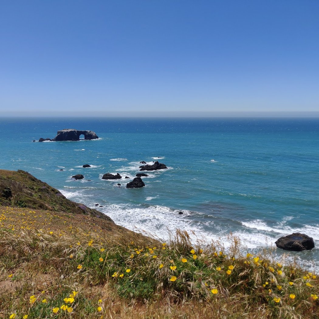 Goat Rock State Beach - Sonoma Coast State Park 1