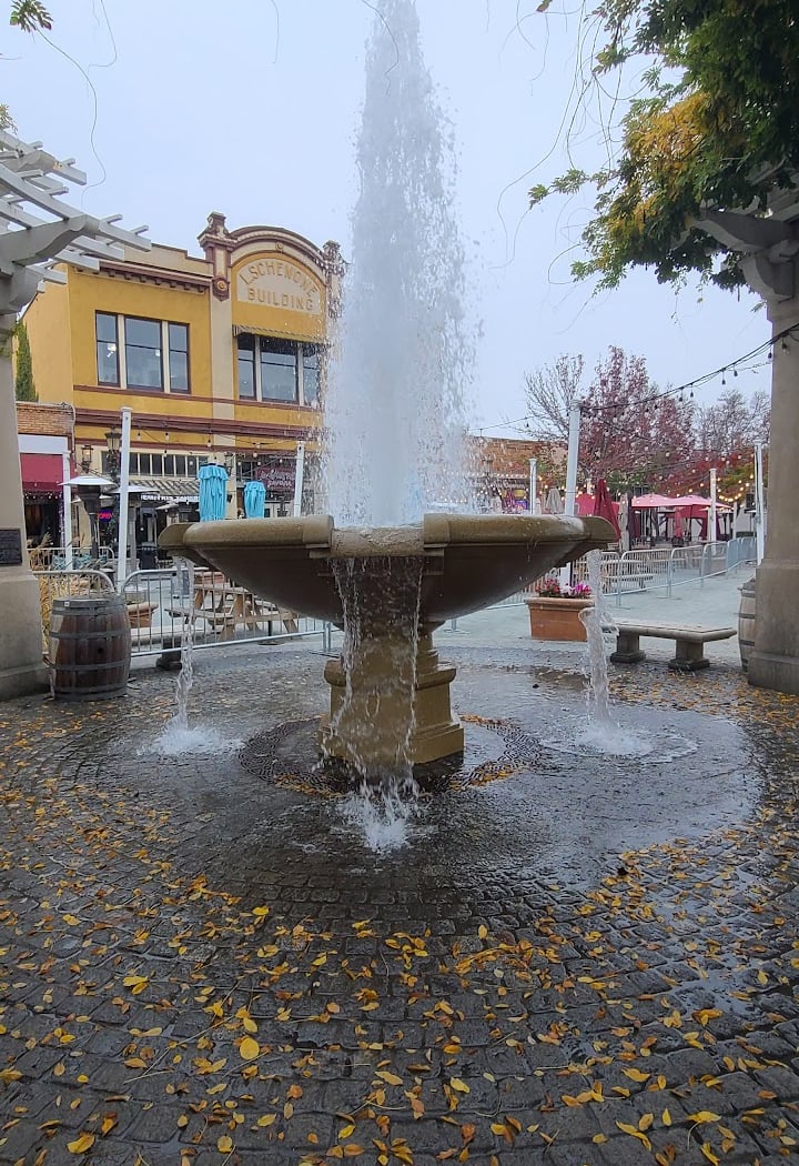 Lizzie Oliver Fountain 3