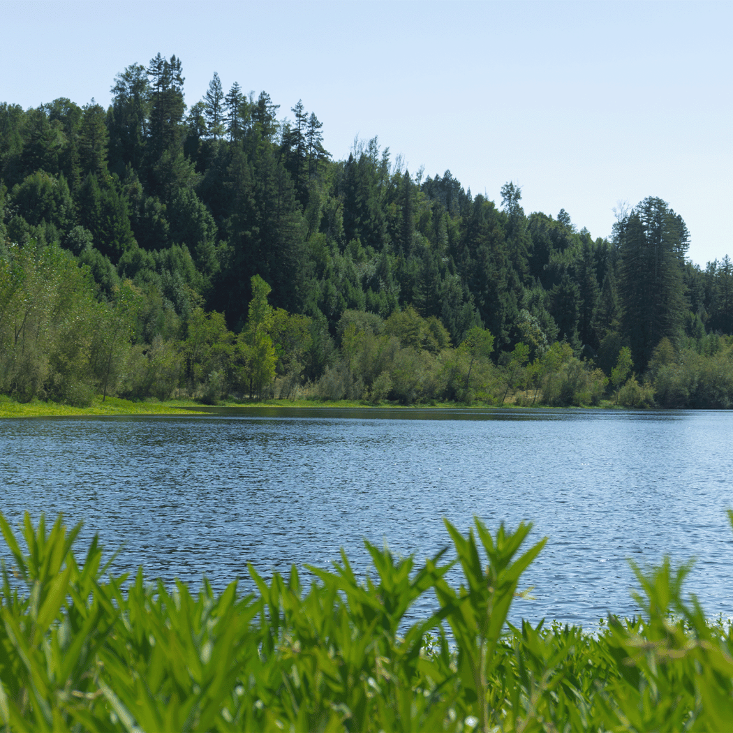 Riverfront Regional Park 2