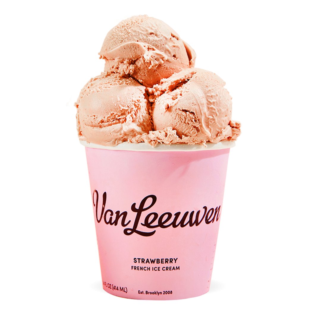 Van Leeuwen Ice Cream 1