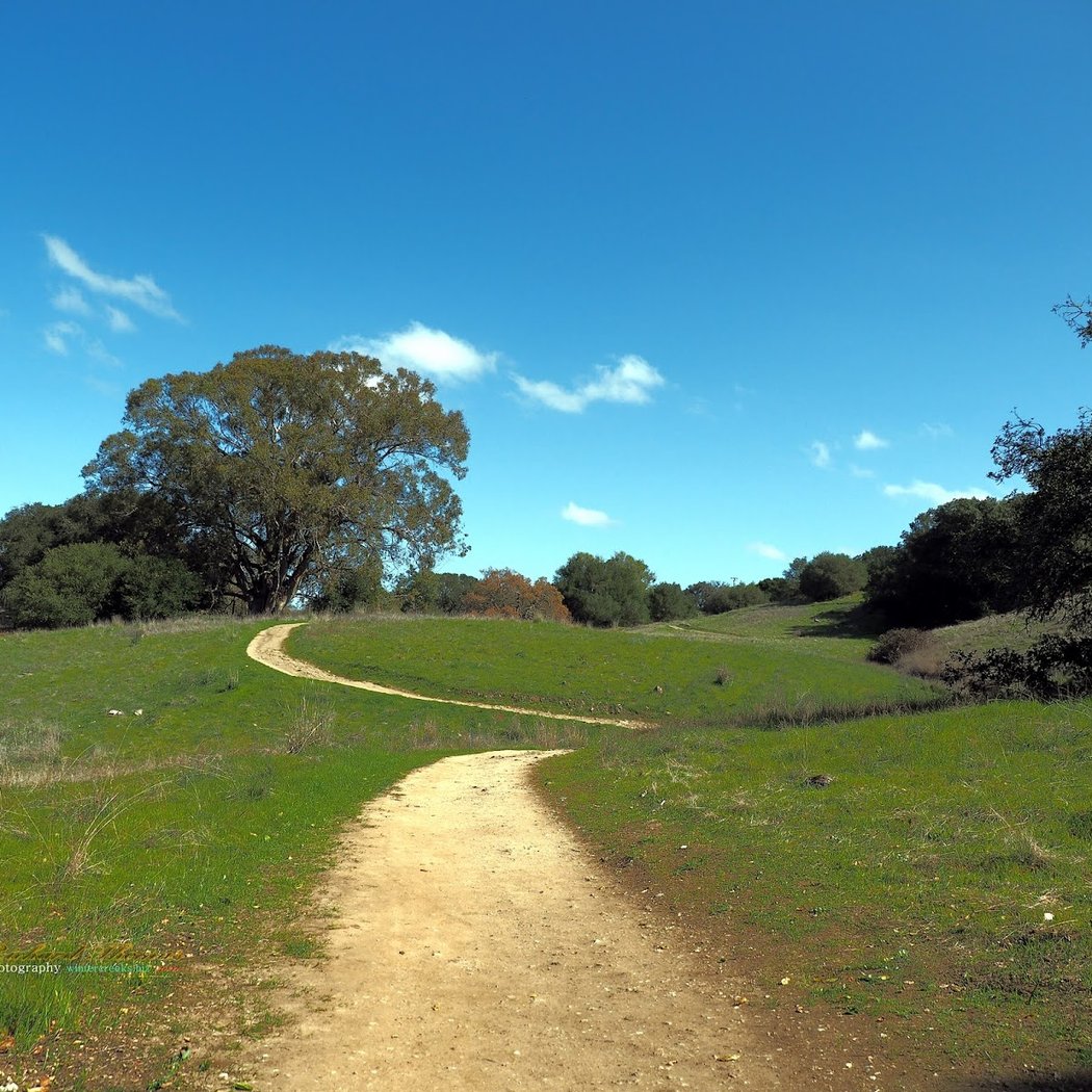 North Sonoma Mountain Regional Park 1