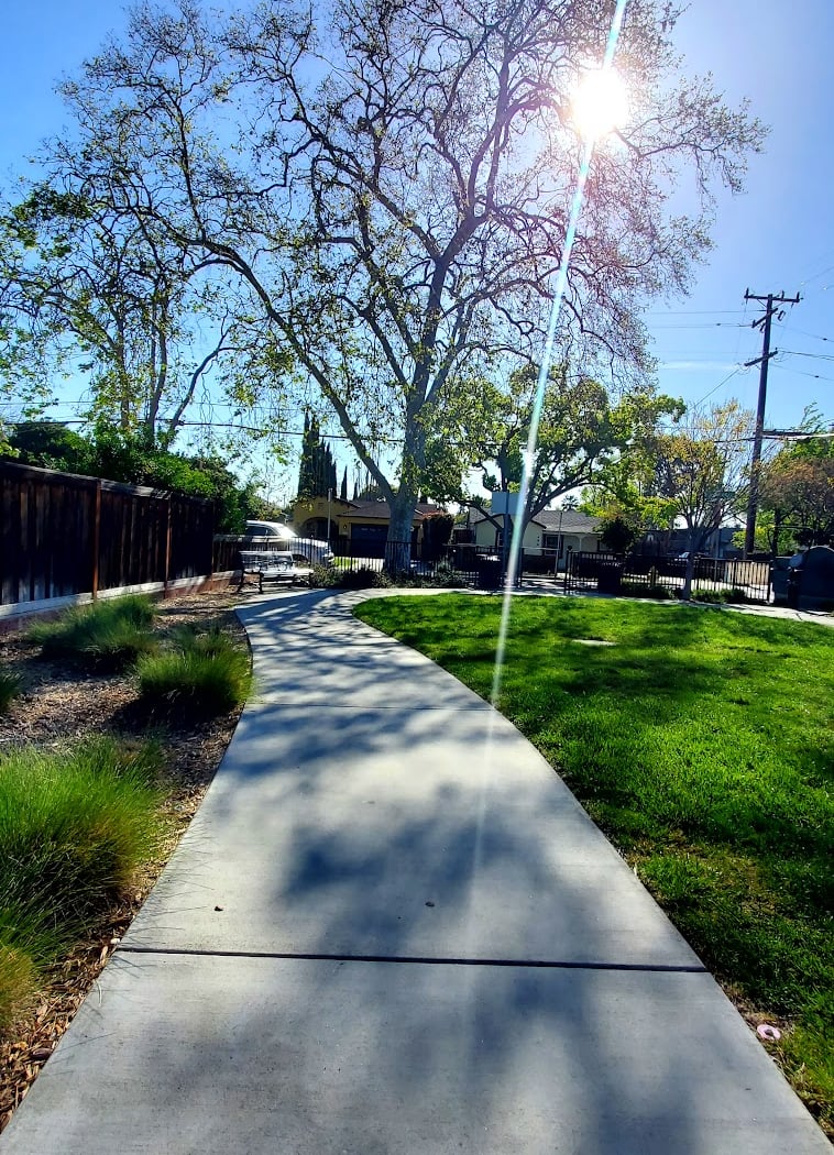 Buena Vista Park 3