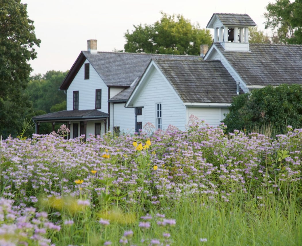 Gibbs Farm 2
