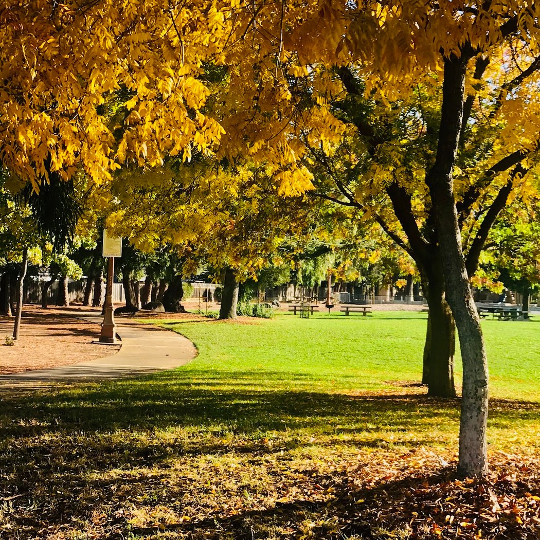 San Tomas Park 1