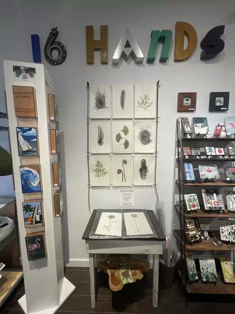16 Hands 3
