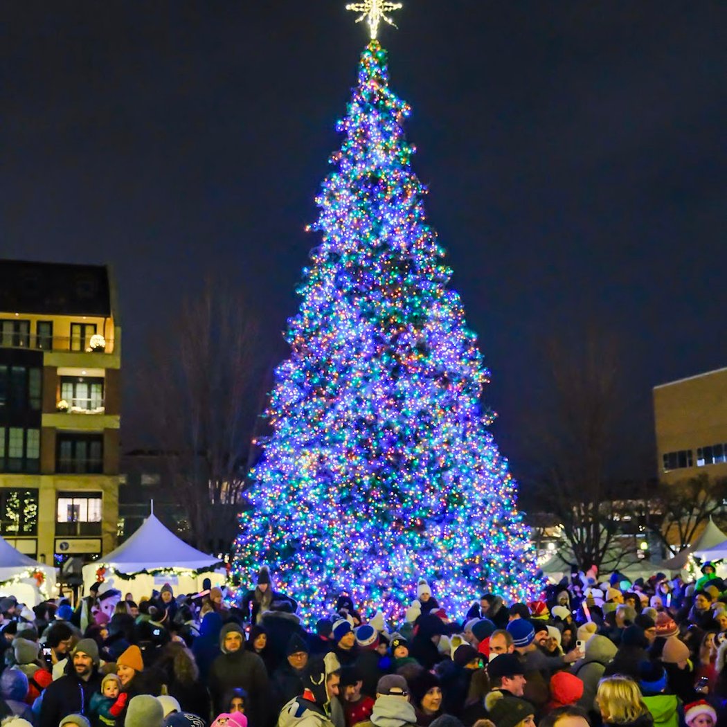 Birmingham Winter Markt 1