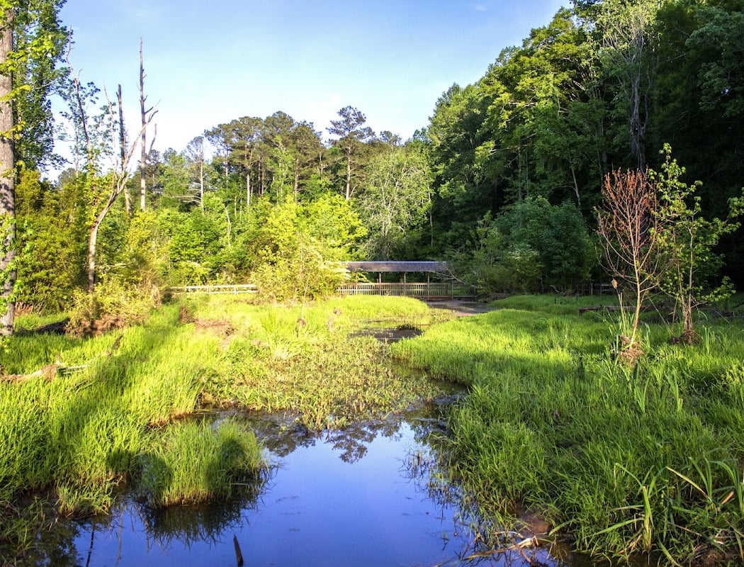 Newman Wetlands Center 2